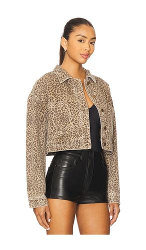 Anouk Crop Jacket in . Size S. Also in XL - MINKPINK - Modalova