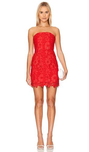 Roja Lace Mini Dress in . - size 10 (also in 2, 4) - MILLY - Modalova