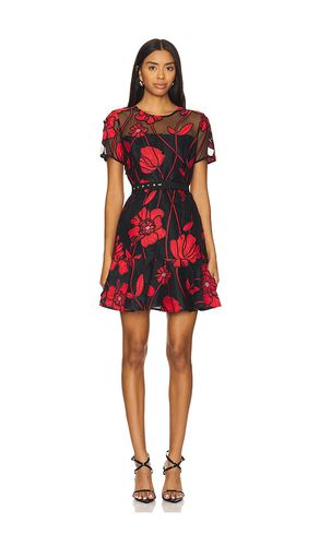 Rosie Grand Fleur Dress in . - size 0 (also in 2, 4, 6, 8) - MILLY - Modalova