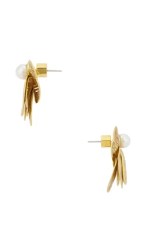 Lily Earrings in - MIRANDA FRYE - Modalova