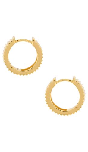 Debbie Huggies Earrings in - MIRANDA FRYE - Modalova