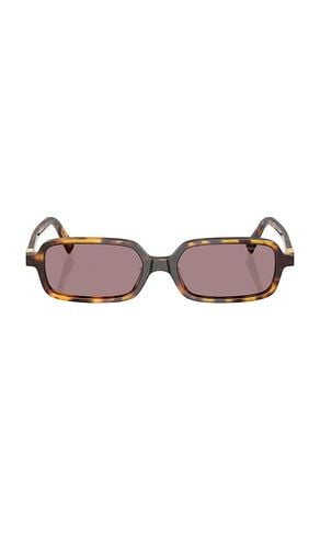 Narrow Rectangular Sunglasses in Brown - Miu Miu - Modalova