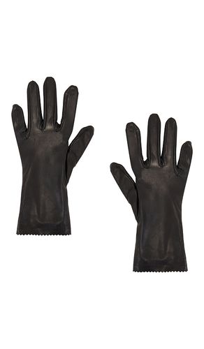 Short Leather Gloves in . - size 7 (also in 8) - MANOKHI - Modalova