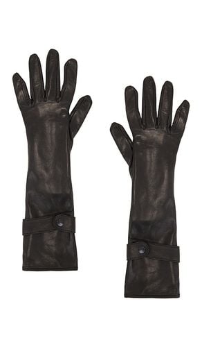 Medium Length Leather Gloves in . - size 6.5 (also in 7, 7.5, 8) - MANOKHI - Modalova