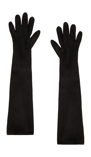 Long Velvet Gloves in . - size 6.5 (also in 7, 7.5, 8) - MANOKHI - Modalova