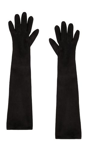 Long Velvet Gloves in . - size 7 (also in 7.5) - MANOKHI - Modalova