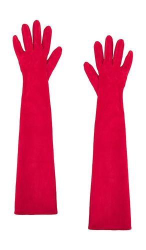 Long Suede Gloves in . - size 6.5 (also in 7, 7.5, 8) - MANOKHI - Modalova