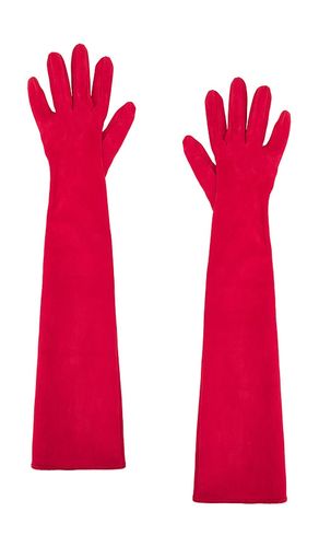 Long Suede Gloves in . - size 7 (also in 7.5) - MANOKHI - Modalova