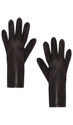 Short Leather Gloves in Chocolate. - size 6.5 (also in 7, 7.5, 8) - MANOKHI - Modalova