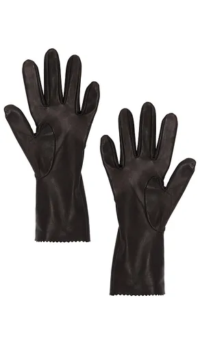 Short Leather Gloves in Chocolate. - size 6.5 (also in 7, 7.5) - MANOKHI - Modalova