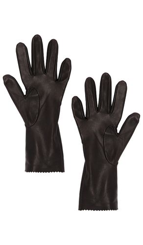 Short Leather Gloves in . Size 7. Also in 7.5 - MANOKHI - Modalova
