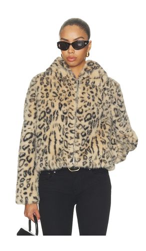 The Hooded Polar Opposite in Brown. - size L (also in XL) - MOTHER - Modalova