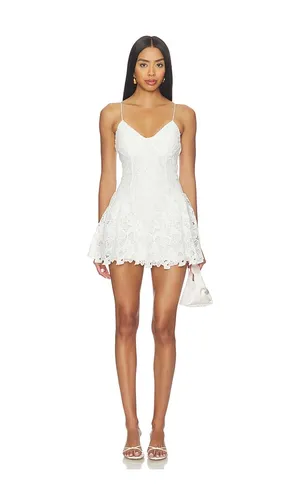 Jasleen Mini Dress in . - size L (also in XL) - MORE TO COME - Modalova