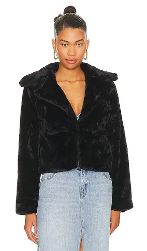 JACKE PAYTON in . Größe L. Also in XXS - MORE TO COME - Modalova