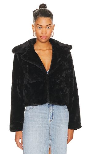 JACKE PAYTON in . Größe M. Also in XXS - MORE TO COME - Modalova