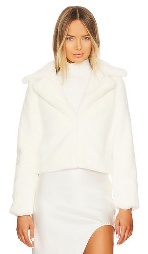 JACKE PAYTON in . Größe XL. Also in XXS - MORE TO COME - Modalova