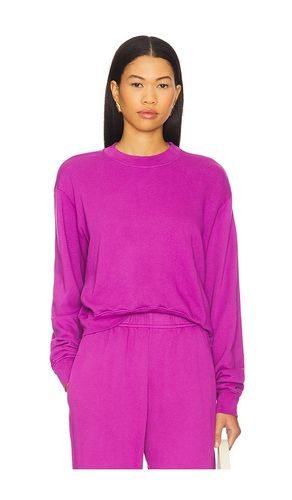 Exon Crew Neck Pullover in Purple. - size S (also in XL, XS) - Michael Lauren - Modalova
