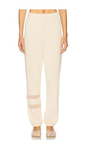 Setton Mesh Contrast Pant in . Taglia M, S, XL, XS - Michael Lauren - Modalova