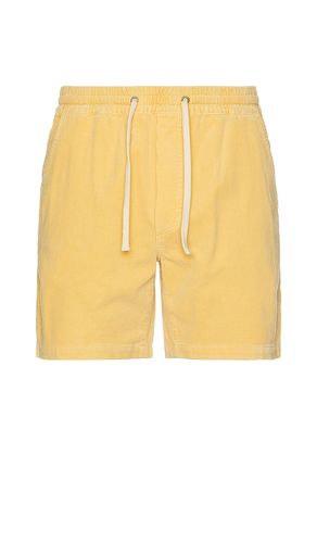 Saturday Corduroy Short 6 in Yellow. - size L (also in M, S, XL/1X) - Marine Layer - Modalova