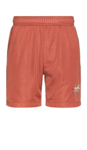 Side Stripe Mesh Short in Burnt Orange. - size L (also in M, S, XL/1X) - Marine Layer - Modalova