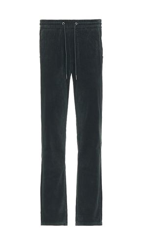 Saturday Corduroy Slim Straight Pant in Green. - size L (also in XL/1X) - Marine Layer - Modalova