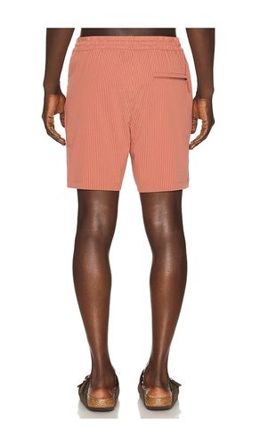 Lined Sport & Swim Short in . Taglia L. Also in S, XL/1X - Marine Layer - Modalova