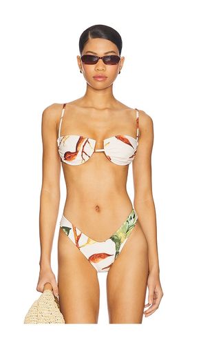 Simonette Bikni Top in Cream,Brown. - size L (also in S, XL, XS) - Montce Swim - Modalova