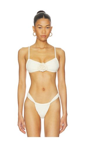 Devin Rosa Bikini Top in Cream. - size L (also in M, S, XL, XS) - Montce - Modalova