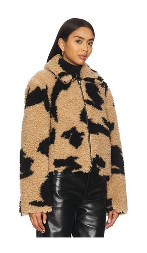 Follow The Rabbit Jacket in . Size 40. Also in 42 - MSGM - Modalova