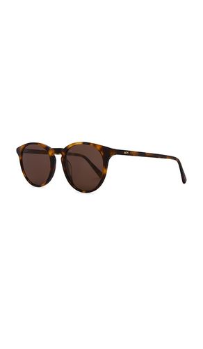 New depp sunglasses in color size all - MESSYWEEKEND - Modalova