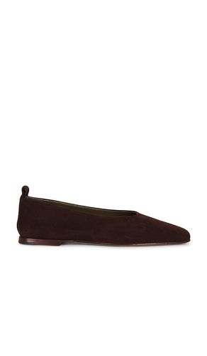 Augusta Suede Ballerina in Chocolate. - size 36 (also in 37, 38, 39, 40) - Maria Luca - Modalova