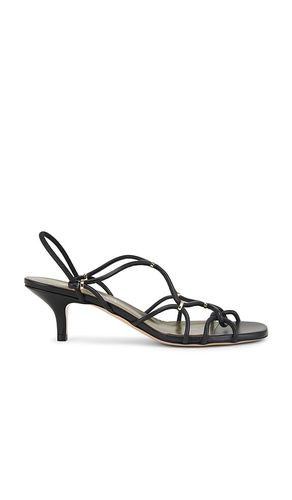 Iside Sandal in . - size 36 (also in 36.5, 37, 37.5, 38, 38.5, 39, 39.5) - Maria Luca - Modalova