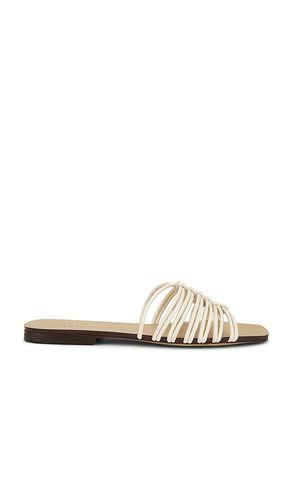 Maddalena Capri Sandal in . - size 36.5 (also in 37, 37.5, 38, 38.5, 39.5, 40) - Maria Luca - Modalova