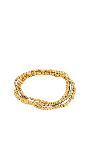Bella Trois Bracelet Set in - Natalie B Jewelry - Modalova
