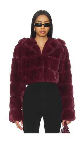 Kira Jacket in . Size M. Also in S, XS - NBD - Modalova