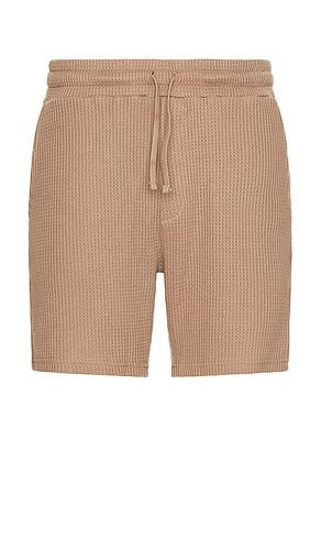 Waffle Shorts in Brown. - size L (also in M, XL/1X) - Nikben - Modalova