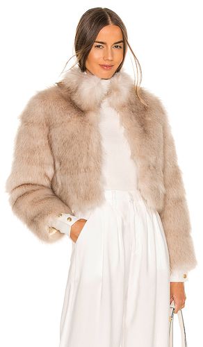 Tatiana Faux Fur Jacket in . - size L (also in XL) - Nookie - Modalova