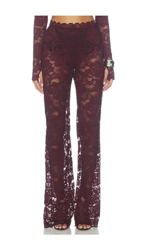 Delphine Lace Pants in . Size L. Also in S, XL - Nookie - Modalova