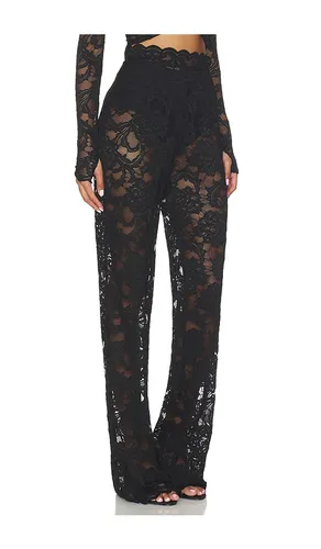 Delphine Lace Pant in . - size L (also in XL) - Nookie - Modalova