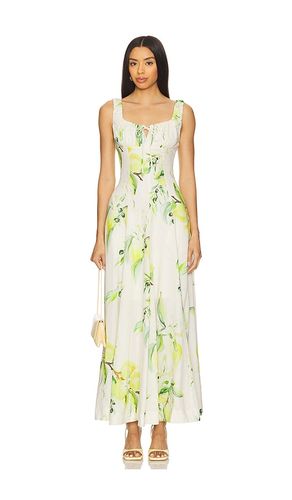 Dina Maxi Dress in Neutral,Green. - size 0 (also in 2, 4, 6) - NICHOLAS - Modalova