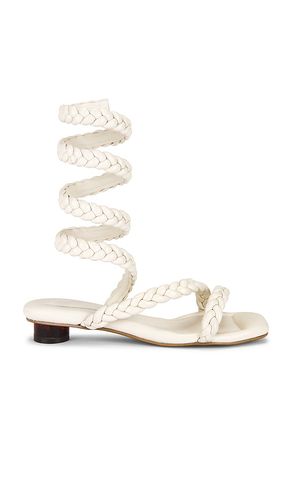 Roma Trenza Sandal in . - size 10 (also in 6, 7, 8, 9) - Nora Lozza - Modalova
