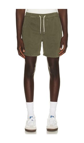 Gregor Shorts 1154 in Green. - size XL/1X (also in XXL/2X) - NN07 - Modalova