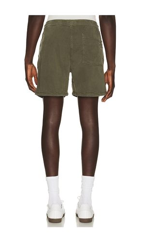 Gregor Shorts 1154 in Green. - size XL/1X (also in XXL/2X) - NN07 - Modalova