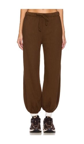 Shane Basic Sweatpants in Brown. - size L (also in M, S, XL, XS) - NSF - Modalova