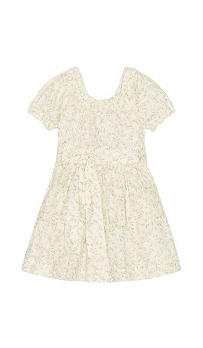 Annette Dress in . Size 2. Also in 4, 6 - Noralee - Modalova