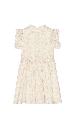 Alice Dress in . Size 4. Also in 6 - Noralee - Modalova