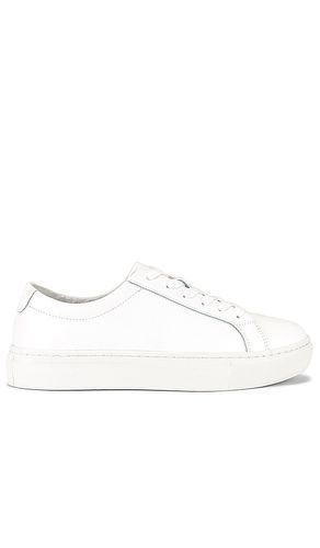 Kurt Sneaker in White. - size 8.5 (also in 9.5) - New Republic - Modalova