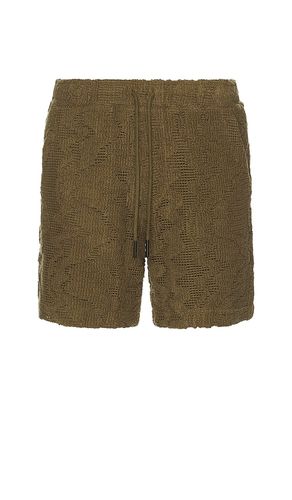 Pine Verve Crochet Shorts in Olive. - size L (also in M, S, XL/1X) - OAS - Modalova