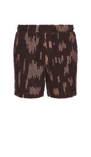 Brink Cuba Crochet Shorts in Brown. - size L (also in M, S, XL/1X) - OAS - Modalova