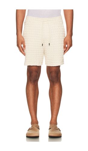 SHORTS in . Größe S. Also in XL/1X - OAS - Modalova